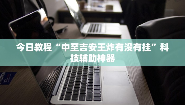 今日教程“中至吉安王炸有没有挂”科技辅助神器