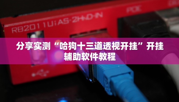 分享实测“哈狗十三道透视开挂”开挂辅助软件教程