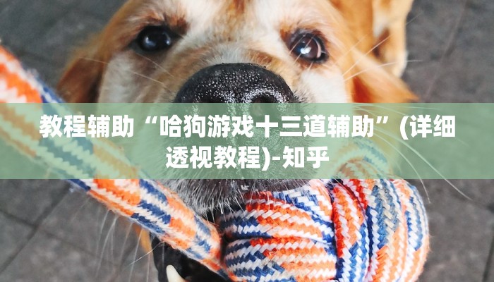 教程辅助“哈狗游戏十三道辅助”(详细透视教程)-知乎