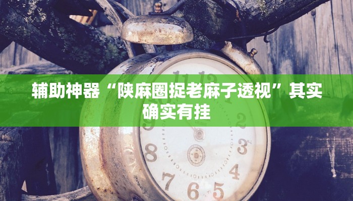 辅助神器“陕麻圈捉老麻子透视”其实确实有挂