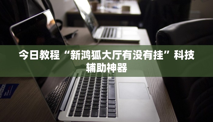 今日教程“新鸿狐大厅有没有挂”科技辅助神器