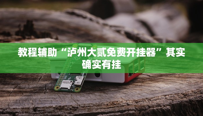 教程辅助“泸州大贰免费开挂器”其实确实有挂 教程辅助“泸州大贰免费开挂器”其实确实有挂