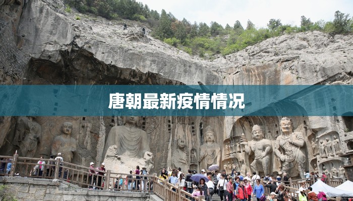 辅助神器“闲来贵州麻将开挂透视教程”(详细透视教程)-知乎