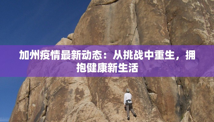 辅助神器“乐乐上海麻将有挂吗”(详细透视教程)-知乎 辅助神器“乐乐上海麻将有挂吗”(详细透视教程)-知乎