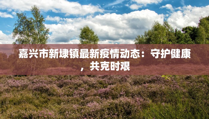 辅助神器“德扑之星辅助透视”开挂(透视)辅助教程