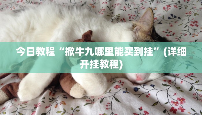 今日教程“掀牛九哪里能买到挂”(详细开挂教程)