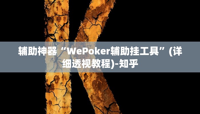 辅助神器“WePoker辅助挂工具”(详细透视教程)-知乎