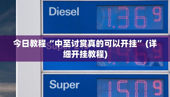 今日教程“中至讨赏真的可以开挂”(详细开挂教程)