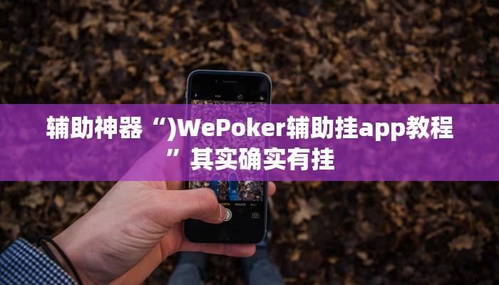辅助神器“)WePoker辅助挂app教程”其实确实有挂 辅助神器“)WePoker辅助挂app教程”其实确实有挂