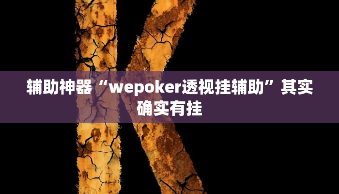 辅助神器“wepoker透视挂辅助”其实确实有挂
