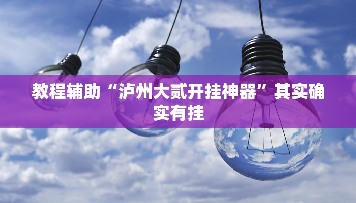 教程辅助“泸州大贰开挂神器”其实确实有挂