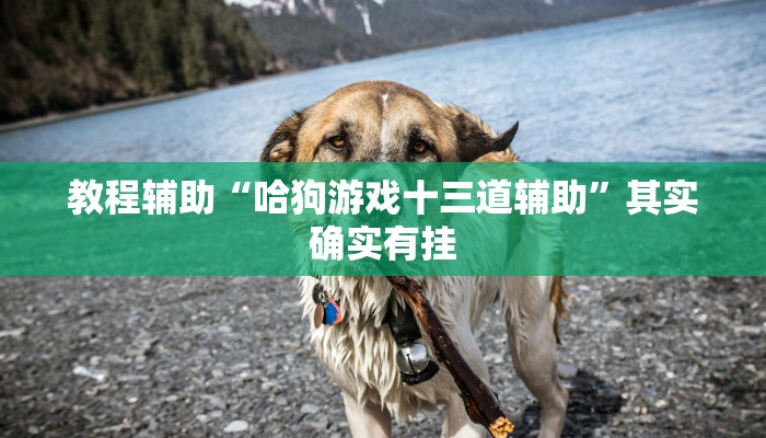 教程辅助“哈狗游戏十三道辅助”其实确实有挂 教程辅助“哈狗游戏十三道辅助”其实确实有挂