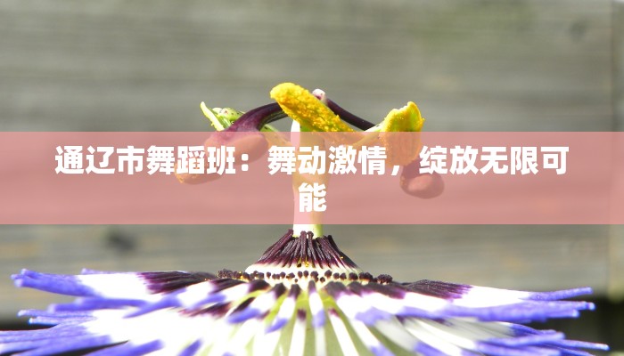 辅助神器“微乐河南麻将如何开挂”(详细透视教程)-知乎