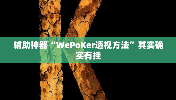 辅助神器“WePoKer透视方法”其实确实有挂