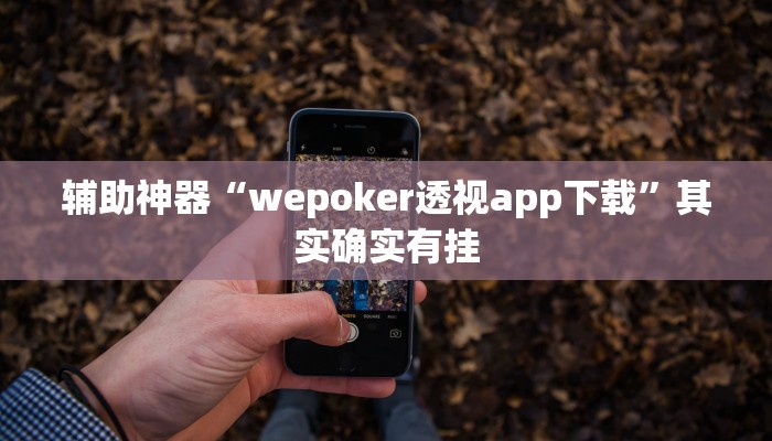 辅助神器“wepoker透视app下载”其实确实有挂 辅助神器“wepoker透视app下载”其实确实有挂