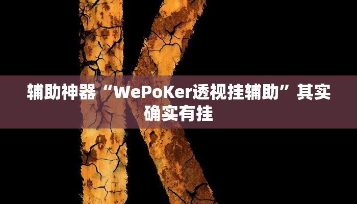 辅助神器“WePoKer透视挂辅助”其实确实有挂