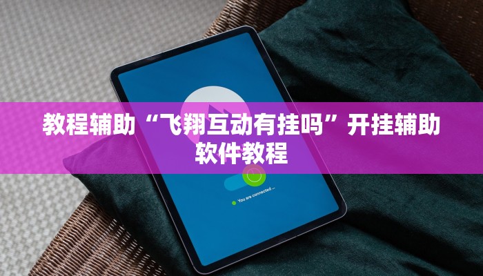 教程辅助“飞翔互动有挂吗”开挂辅助软件教程