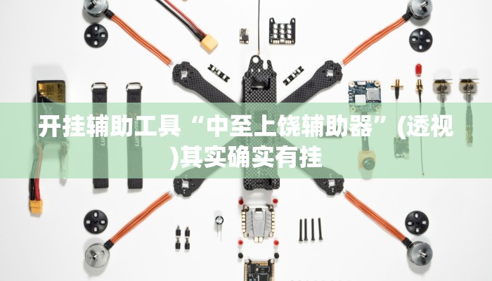 开挂辅助工具“中至上饶辅助器”(透视)其实确实有挂 开挂辅助工具“中至上饶辅助器”(透视)其实确实有挂