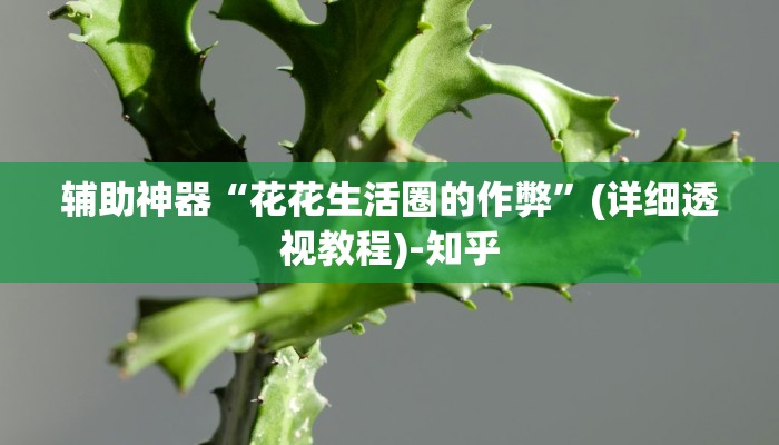 辅助神器“花花生活圈的作弊”(详细透视教程)-知乎 辅助神器“花花生活圈的作弊”(详细透视教程)-知乎