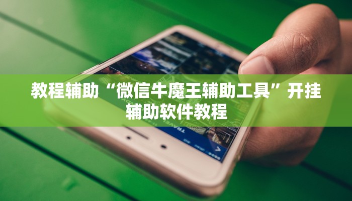 教程辅助“微信牛魔王辅助工具”开挂辅助软件教程