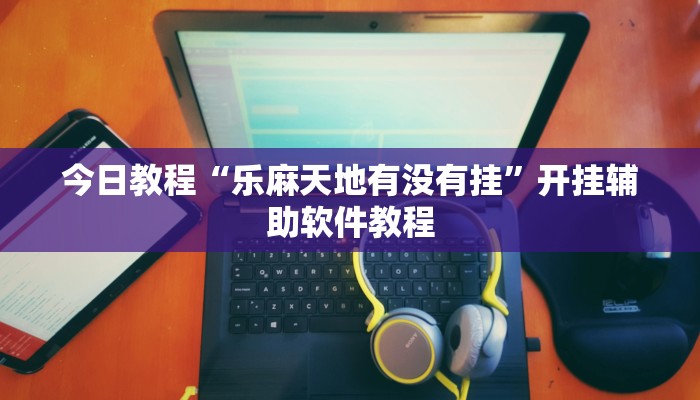 今日教程“乐麻天地有没有挂”开挂辅助软件教程