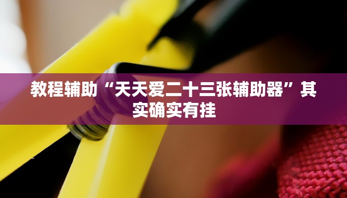 教程辅助“天天爱二十三张辅助器”其实确实有挂
