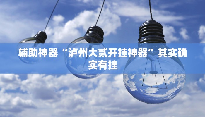 辅助神器“泸州大贰开挂神器”其实确实有挂 辅助神器“泸州大贰开挂神器”其实确实有挂