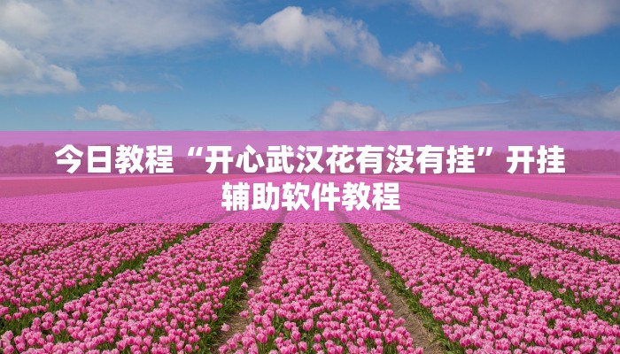 今日教程“开心武汉花有没有挂”开挂辅助软件教程