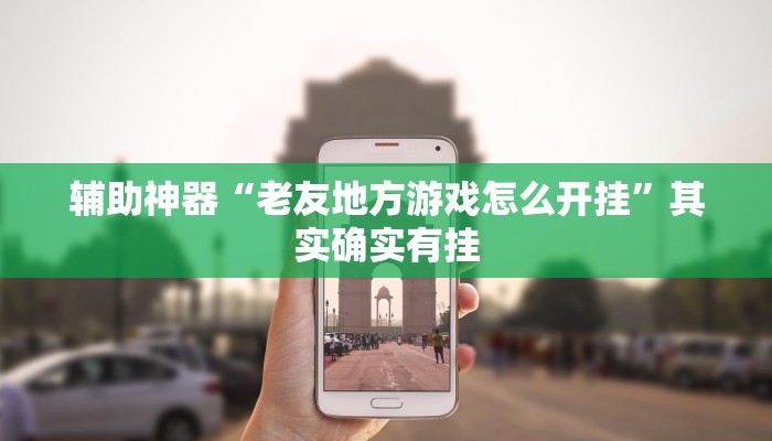 辅助神器“老友地方游戏怎么开挂”其实确实有挂
