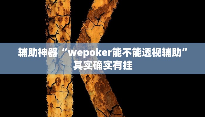 辅助神器“wepoker能不能透视辅助”其实确实有挂