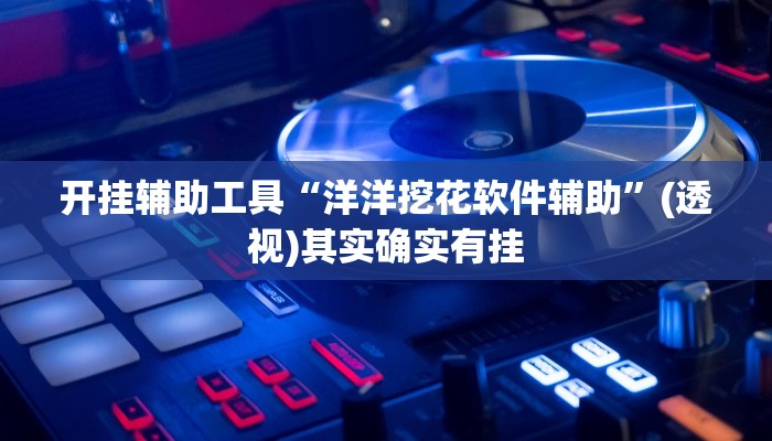 开挂辅助工具“洋洋挖花软件辅助”(透视)其实确实有挂
