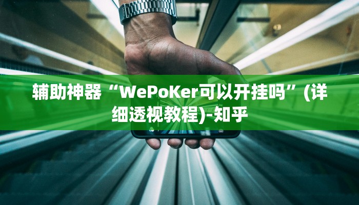 辅助神器“WePoKer可以开挂吗”(详细透视教程)-知乎 辅助神器“WePoKer可以开挂吗”(详细透视教程)-知乎