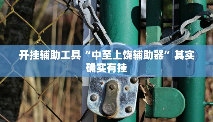 开挂辅助工具“中至上饶辅助器”其实确实有挂
