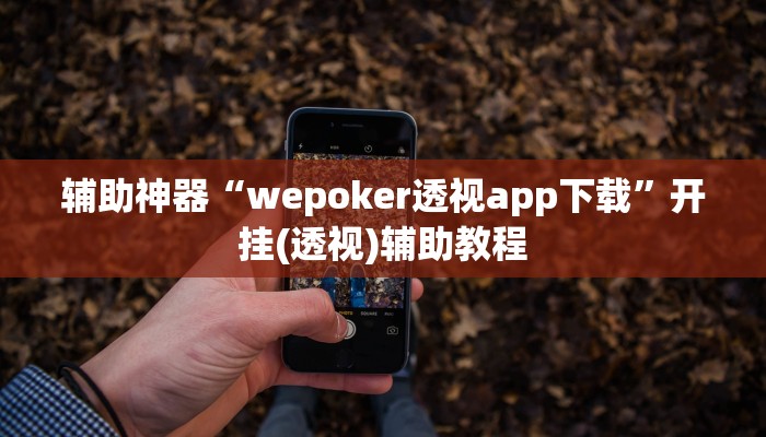 辅助神器“wepoker透视app下载”开挂(透视)辅助教程 辅助神器“wepoker透视app下载”开挂(透视)辅助教程