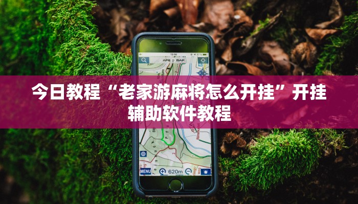 今日教程“老家游麻将怎么开挂”开挂辅助软件教程