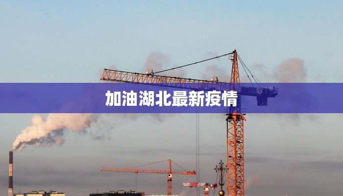 辅助神器“云南保山麻将开挂神器下载”(详细透视教程)-知乎