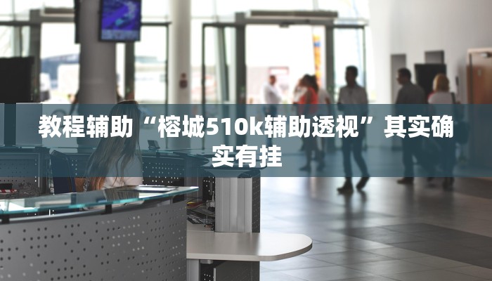 教程辅助“榕城510k辅助透视”其实确实有挂