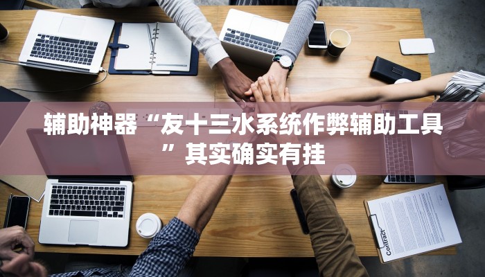 辅助神器“友十三水系统作弊辅助工具”其实确实有挂