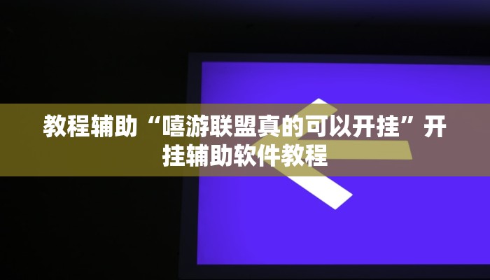 教程辅助“嘻游联盟真的可以开挂”开挂辅助软件教程