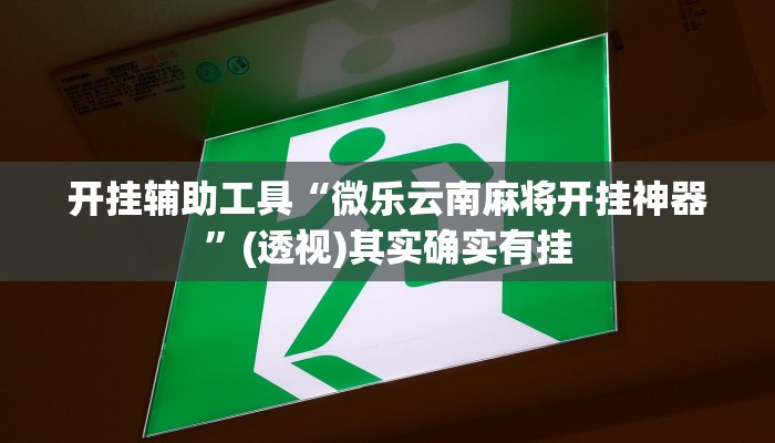 开挂辅助工具“微乐云南麻将开挂神器”(透视)其实确实有挂