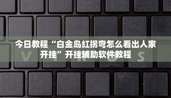今日教程“白金岛红拐弯怎么看出人家开挂”开挂辅助软件教程