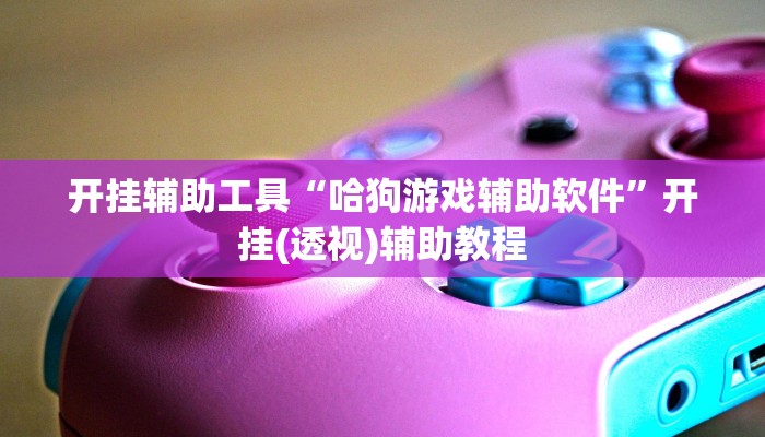 开挂辅助工具“哈狗游戏辅助软件”开挂(透视)辅助教程