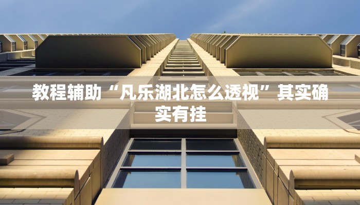 教程辅助“凡乐湖北怎么透视”其实确实有挂 教程辅助“凡乐湖北怎么透视”其实确实有挂