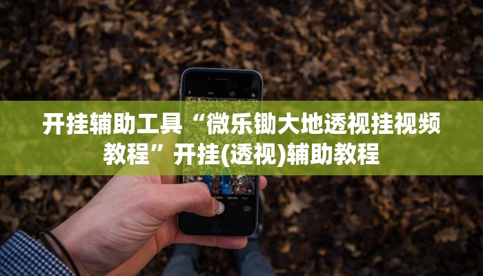 开挂辅助工具“微乐锄大地透视挂视频教程”开挂(透视)辅助教程