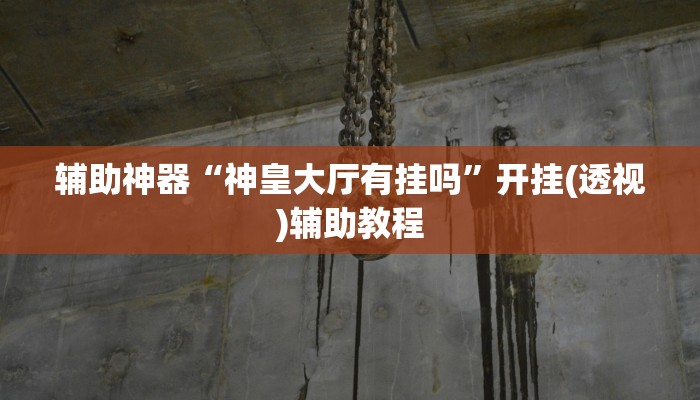 辅助神器“神皇大厅有挂吗”开挂(透视)辅助教程 辅助神器“神皇大厅有挂吗”开挂(透视)辅助教程