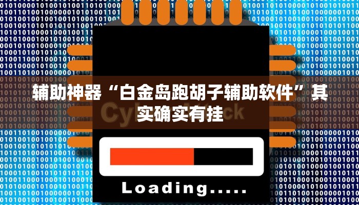 辅助神器“白金岛跑胡子辅助软件”其实确实有挂