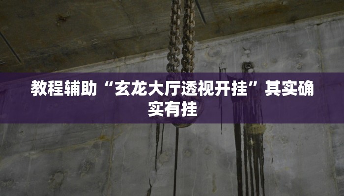 教程辅助“玄龙大厅透视开挂”其实确实有挂 教程辅助“玄龙大厅透视开挂”其实确实有挂