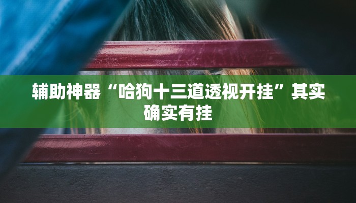 辅助神器“哈狗十三道透视开挂”其实确实有挂