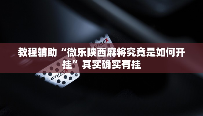 教程辅助“微乐陕西麻将究竟是如何开挂”其实确实有挂 教程辅助“微乐陕西麻将究竟是如何开挂”其实确实有挂