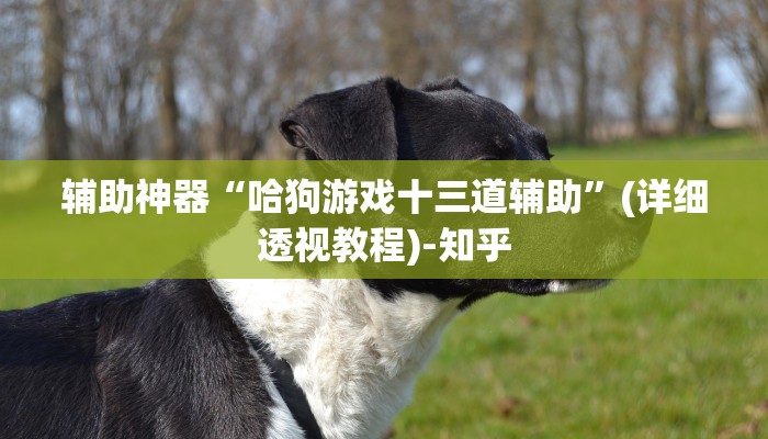 辅助神器“哈狗游戏十三道辅助”(详细透视教程)-知乎 辅助神器“哈狗游戏十三道辅助”(详细透视教程)-知乎